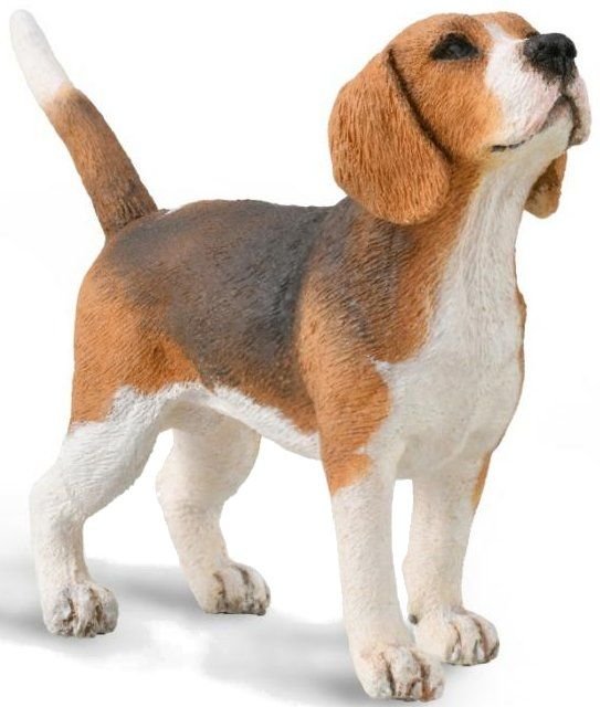Collecta Beagle (M) - Good Games