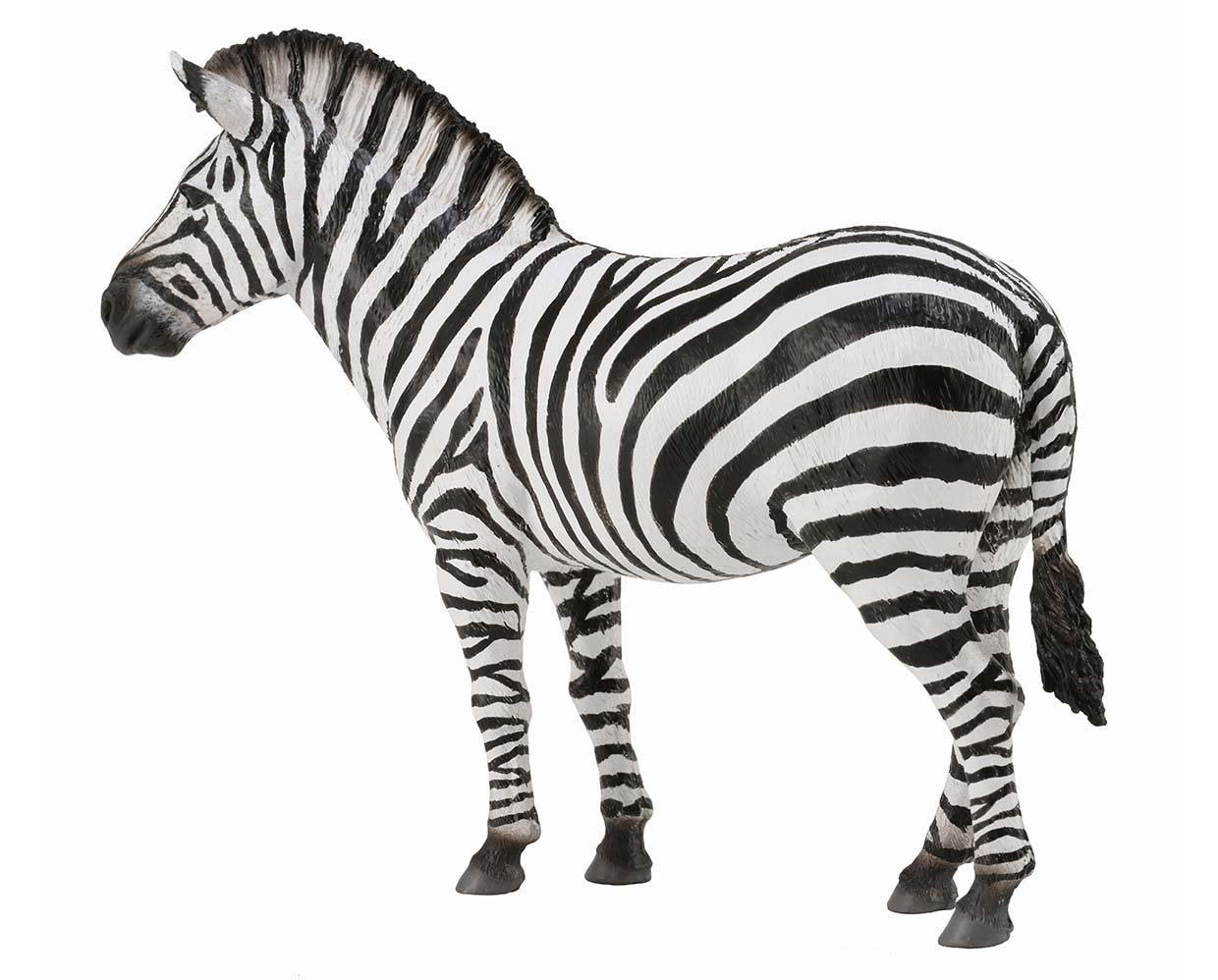 Collecta Common Zebra (L) - Good Games