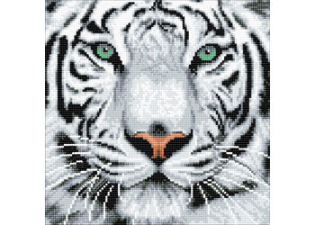 Crystal Art - White Tiger 30x30cm Kit