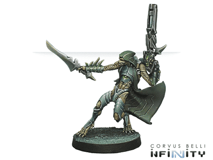 Infinity - Dire Foes Mission Pack 5 - Good Games