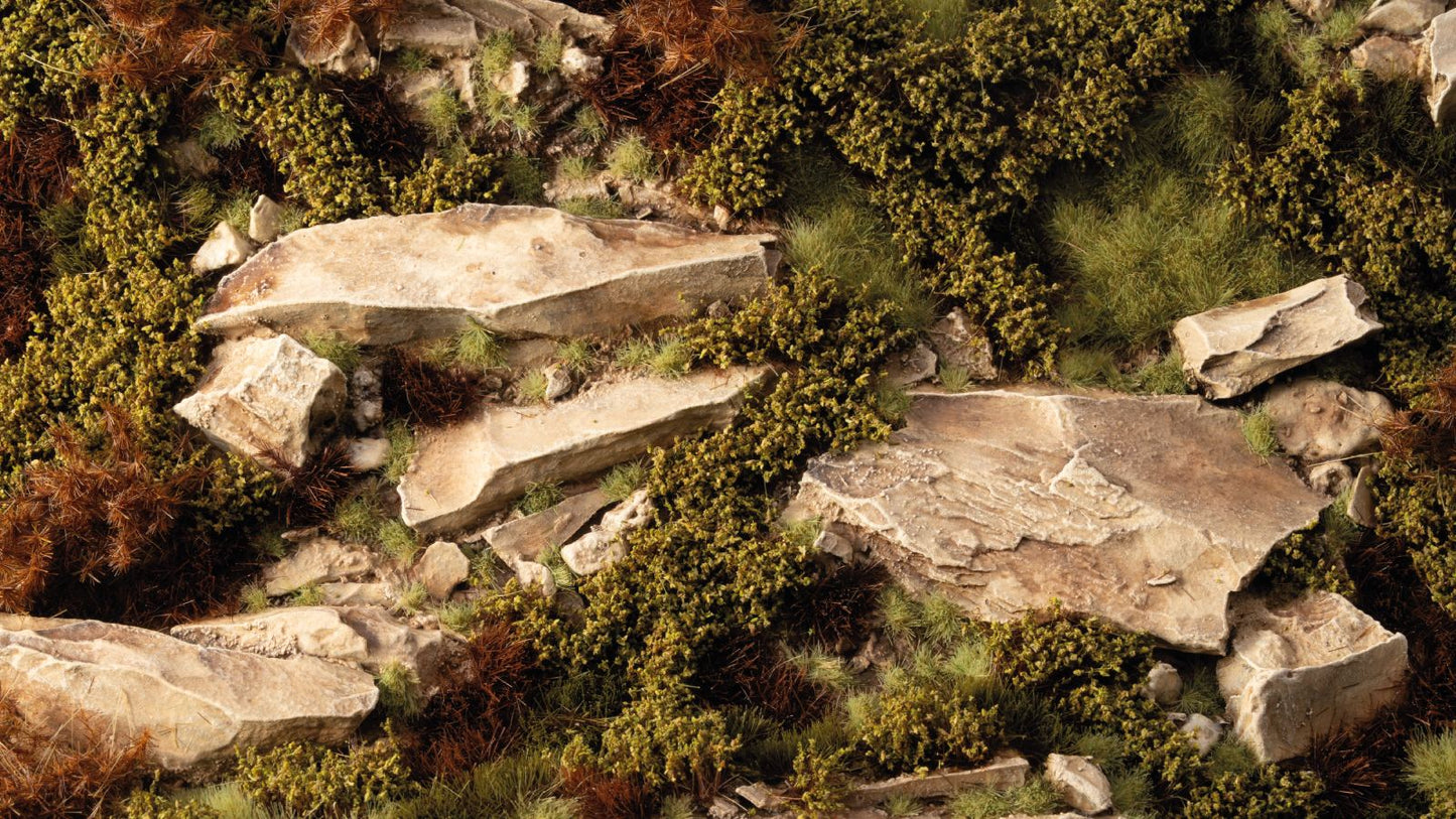 Close-up of light-colored boulders scattered among dense green moss and brown brush