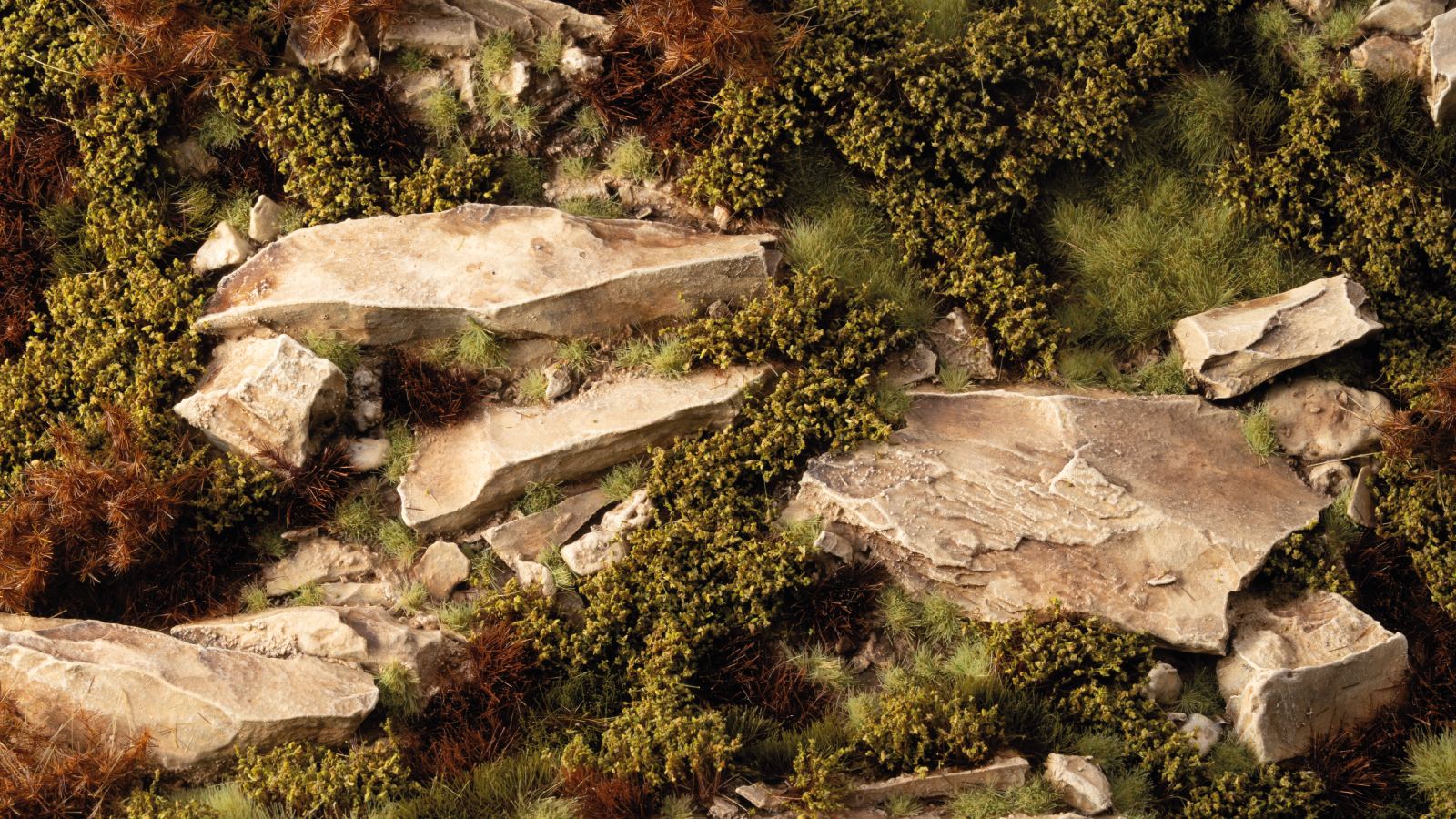 Close-up of light-colored boulders scattered among dense green moss and brown brush