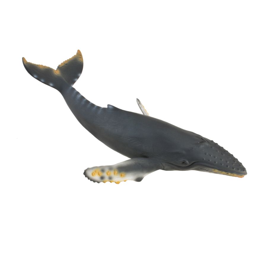 Collecta Humpback Whale (Xl) - Good Games