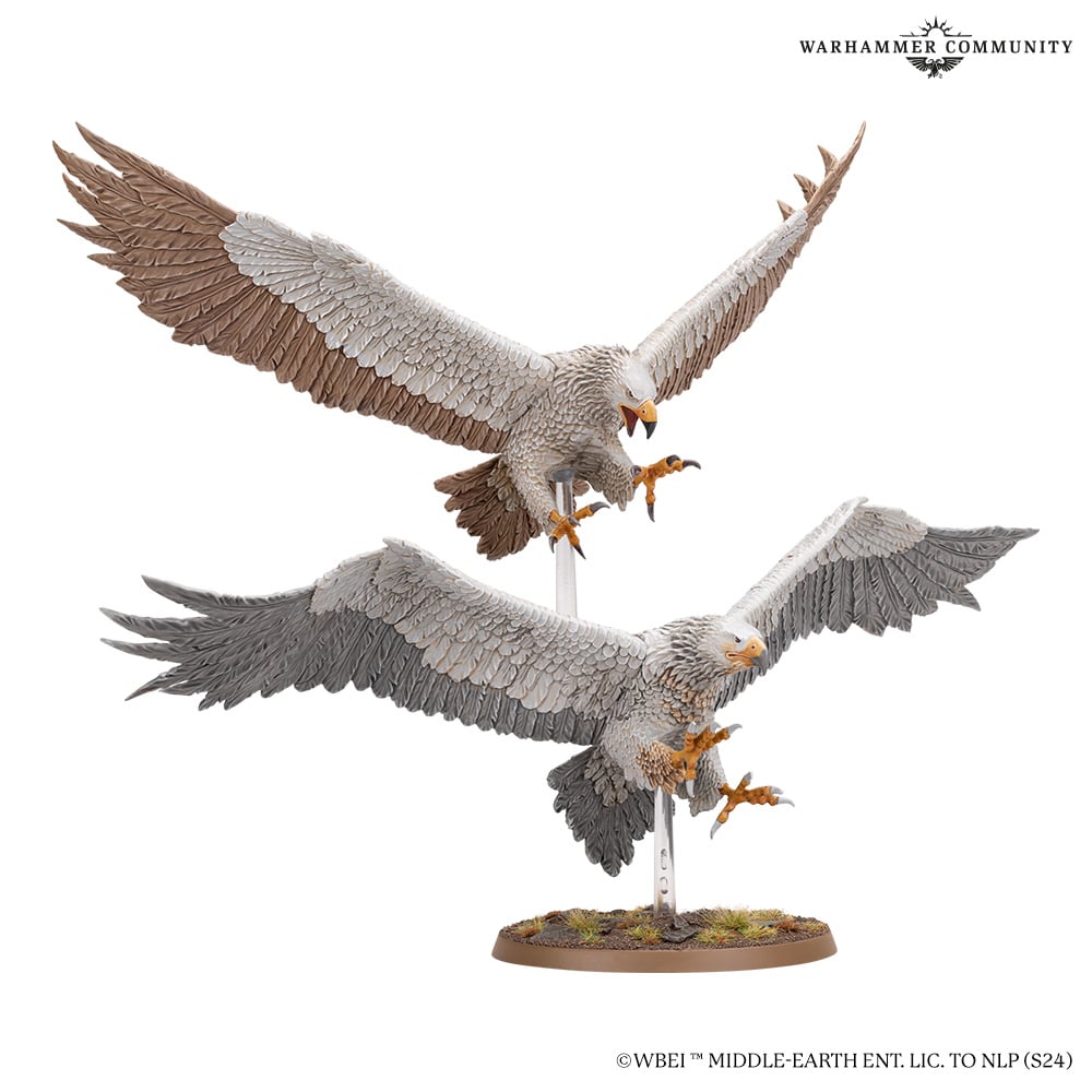 Middle Earth Strategy Battle Game: Great Eagles (30-27) - Good Games