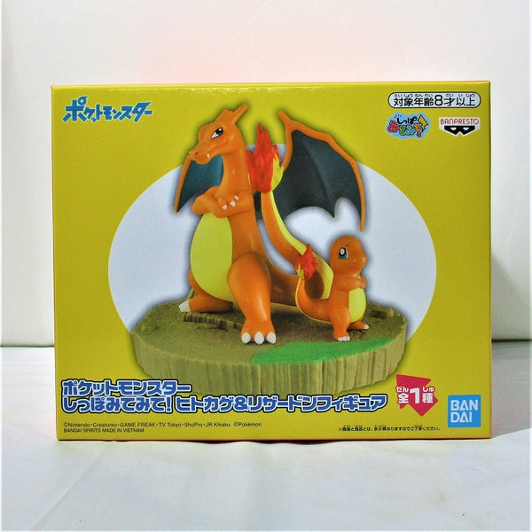 Pokemon Charizard &amp; Charmander Figure