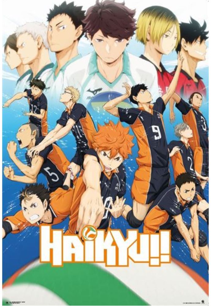 Haikyu - Karasuno Team Poster - Good Games