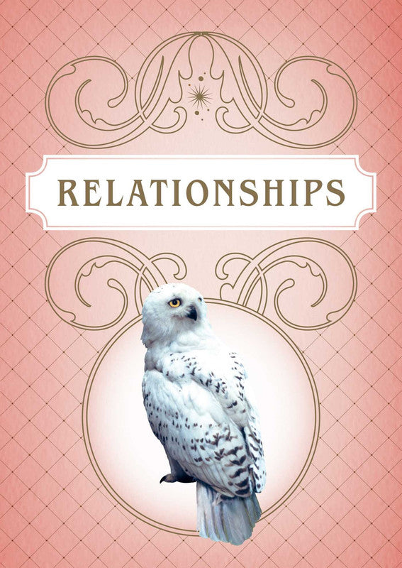 White snowy owl on an ornate pink background with a banner reading "RELATIONSHIPS" at the top