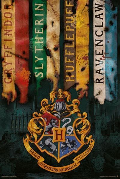 Harry Potter - House Flags Poster