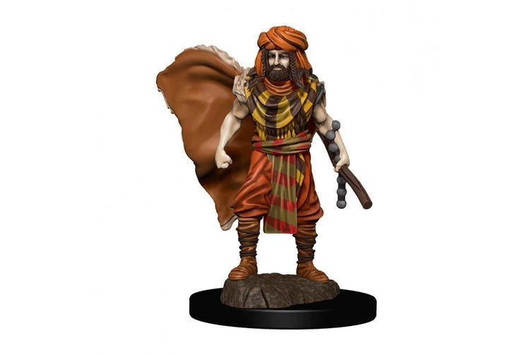 Dungeons &amp; Dragons - Premium Painted Figures Human Druid Male
