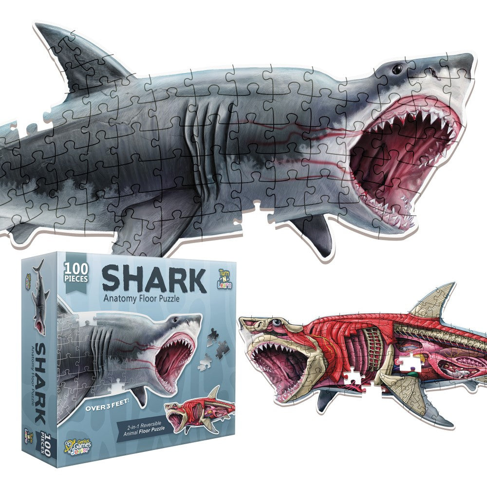 A reversible shark anatomy puzzle, showing its grey exterior and red internal organs, next to its product box.