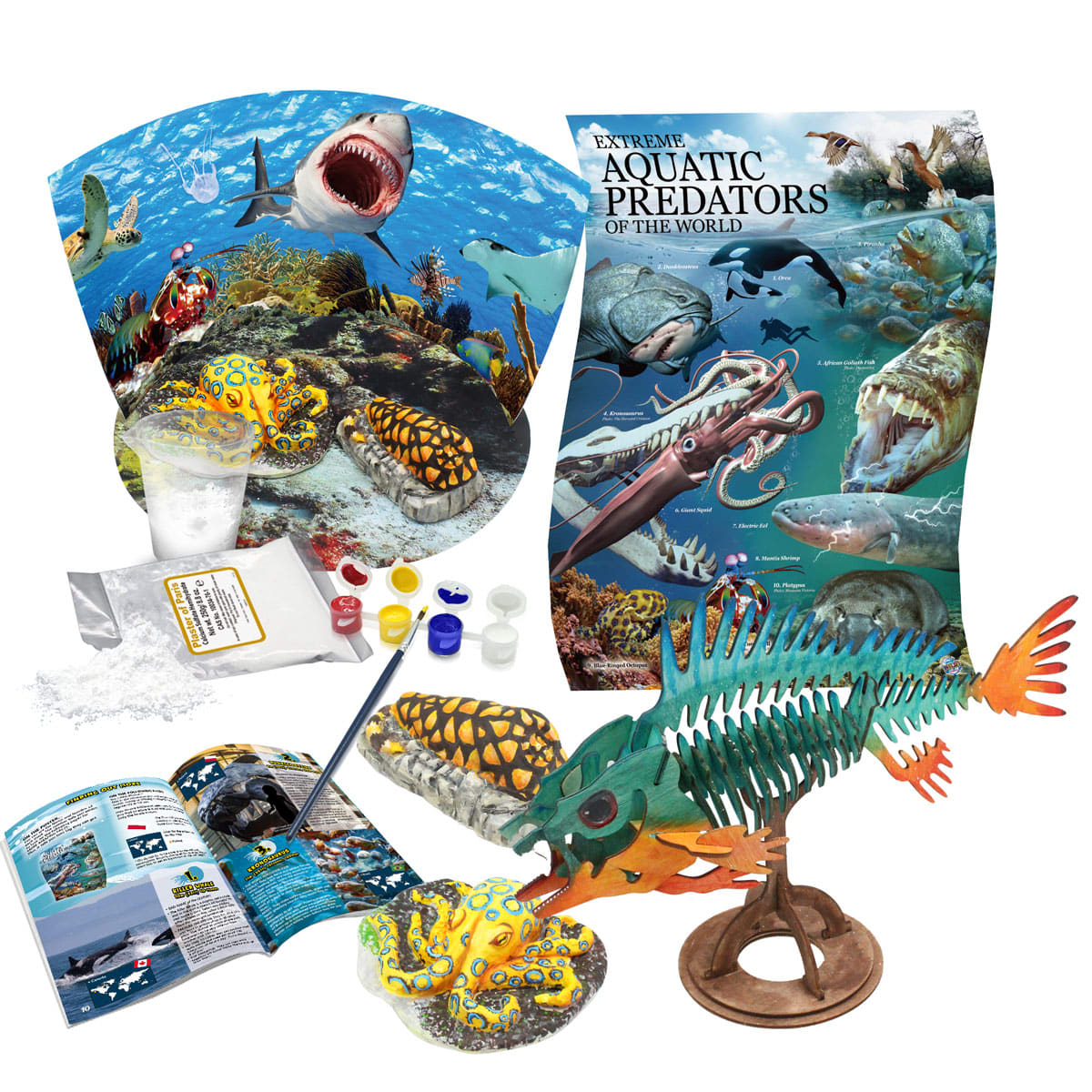 Marine science kit: aquatic predators poster, plaster molds, paints, booklet, and a colorful assembled fish skeleton