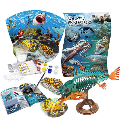 Marine science kit: aquatic predators poster, plaster molds, paints, booklet, and a colorful assembled fish skeleton