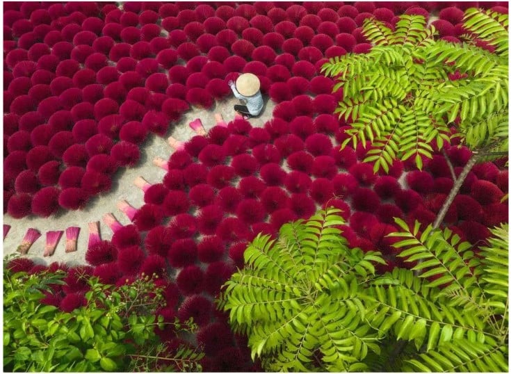 Ravensburger - A Sea of Red 500 Piece Jigsaw