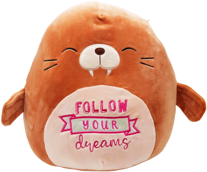 Squishmallows 12 inch Inspirational Messages Assortment - Good Games