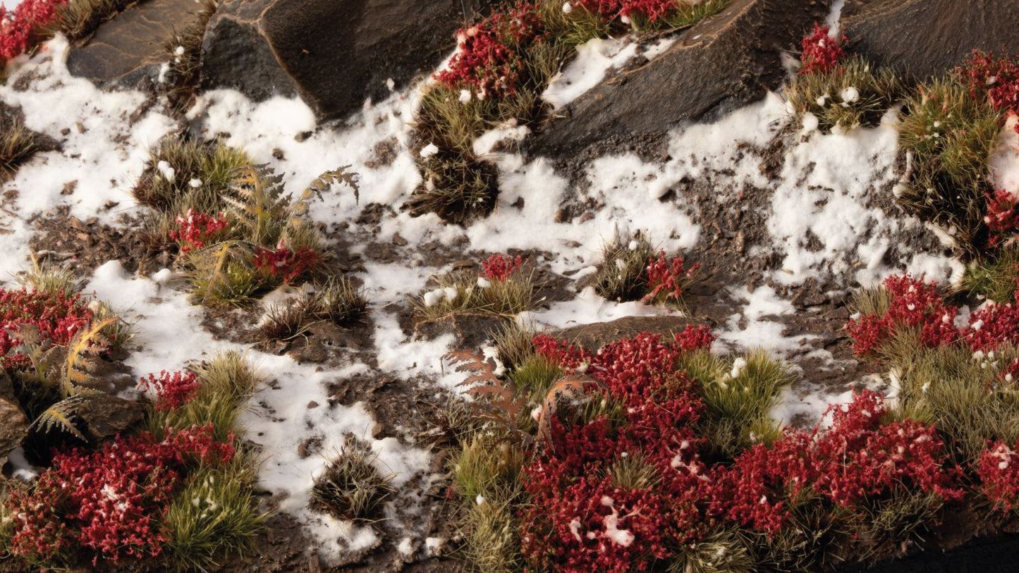 Rocky ground partially covered in snow, interspersed with vibrant red shrubs and green tussock grass