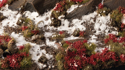 Rocky ground partially covered in snow, interspersed with vibrant red shrubs and green tussock grass