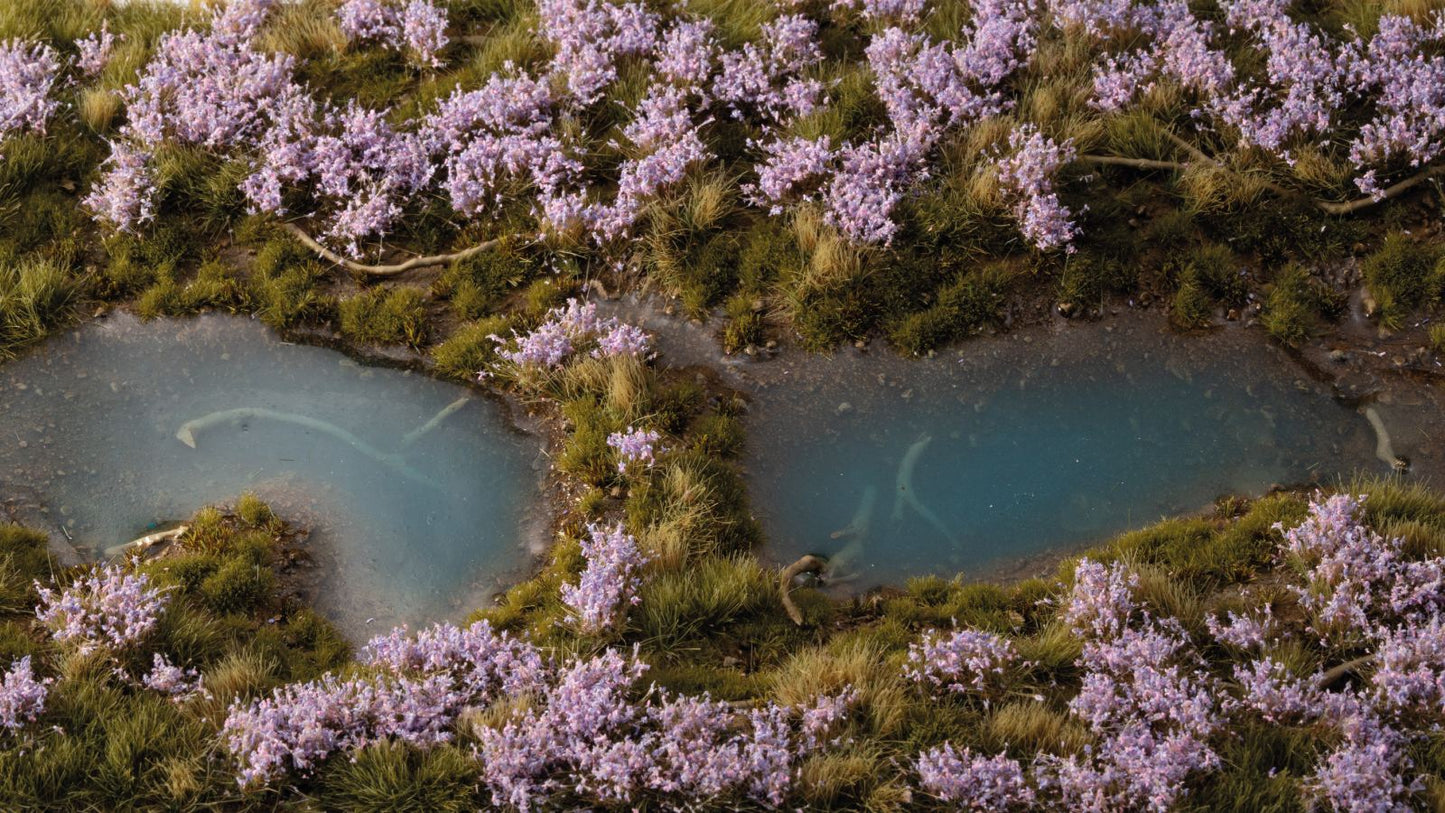 Detailed miniature landscape diorama: purple flowers and green grass surround two small, pale blue pools of water
