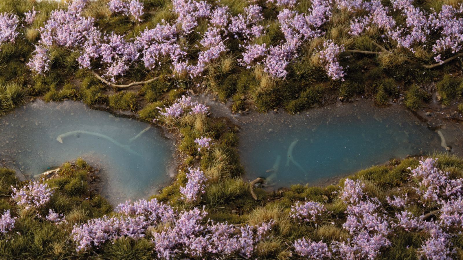 Detailed miniature landscape diorama: purple flowers and green grass surround two small, pale blue pools of water