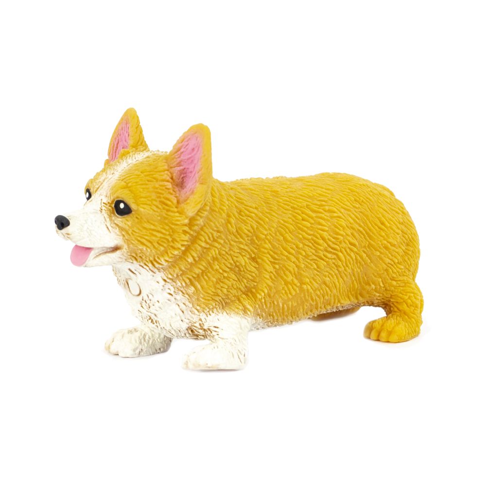 Squidgy Corgi - Good Games