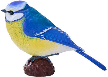 Mojo - Blue Tit