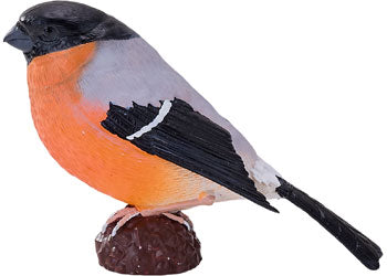 Mojo - Bullfinch