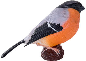 Mojo - Bullfinch