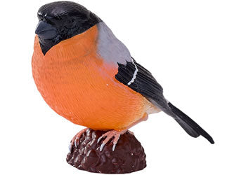 Mojo - Bullfinch