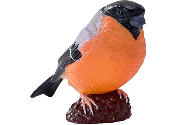 Mojo - Bullfinch