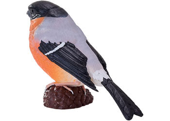 Mojo - Bullfinch