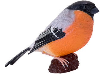 Mojo - Bullfinch