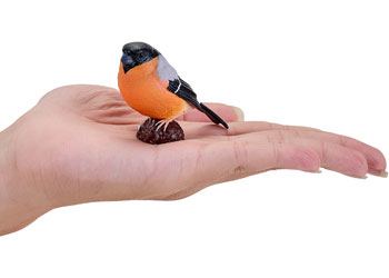 Mojo - Bullfinch