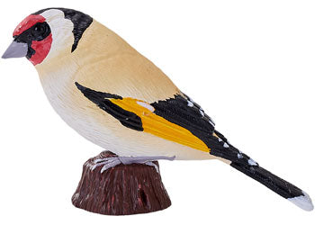 Mojo - European Goldfinch