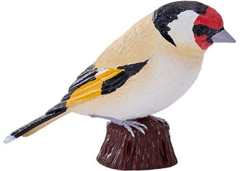 Mojo - European Goldfinch