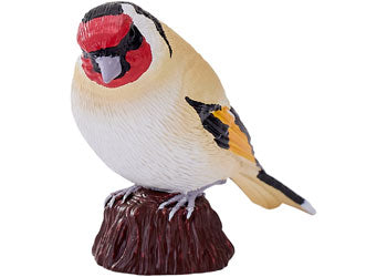 Mojo - European Goldfinch