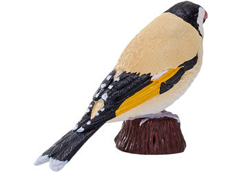 Mojo - European Goldfinch