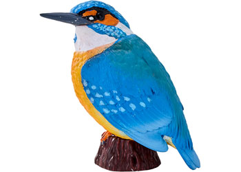 Mojo - Kingfisher