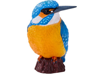 Mojo - Kingfisher