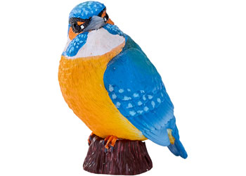 Mojo - Kingfisher