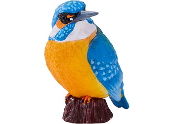 Mojo - Kingfisher