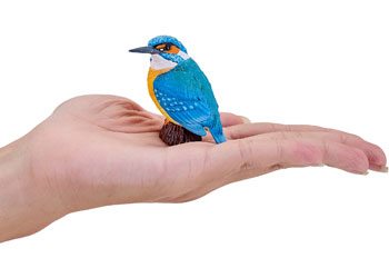 Mojo - Kingfisher