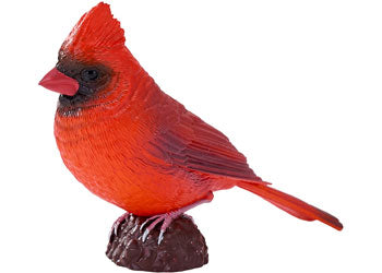 Mojo - Red Cardinal
