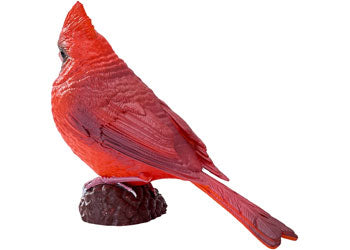Mojo - Red Cardinal