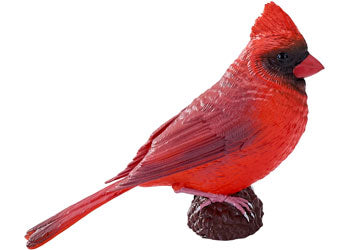 Mojo - Red Cardinal