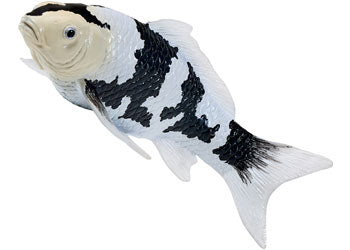 Mojo - Shiro Utsuri Koi Carp