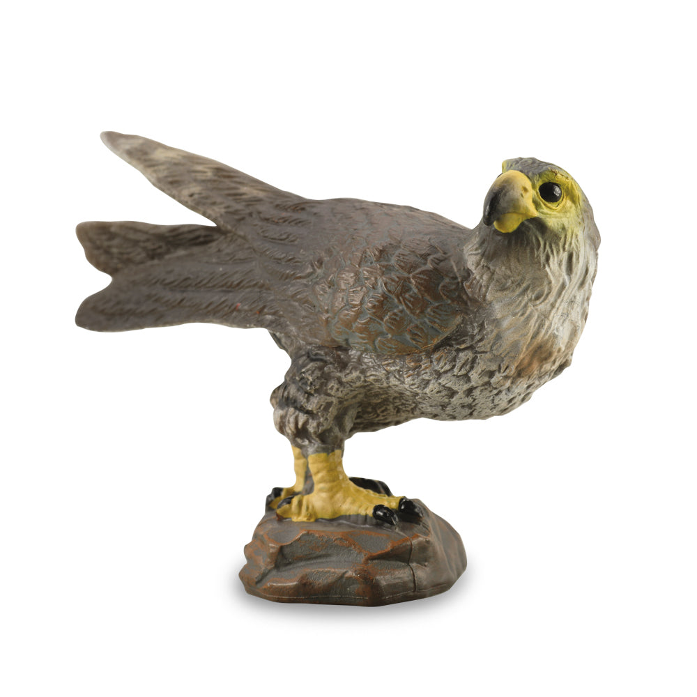 Collecta Peregrine Falcon - S - Good Games