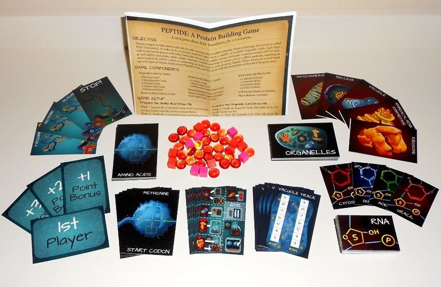 Peptide A Protein Building Game - Good Games