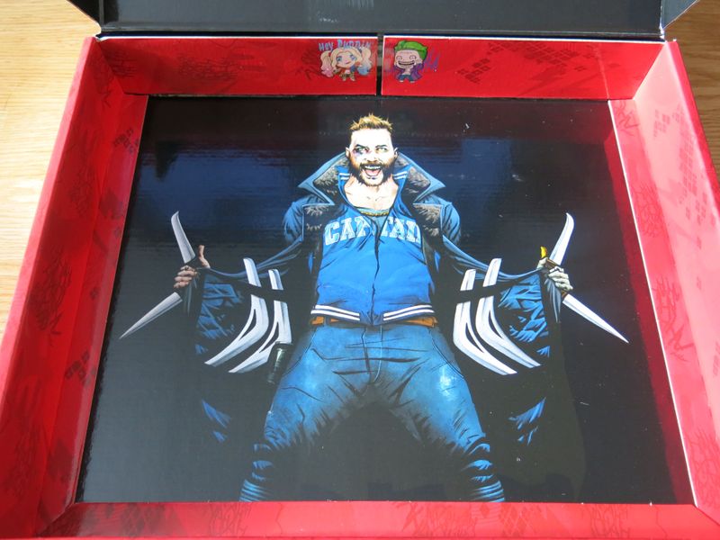 Ssgb01 Suicide Squad Game Box - Good Games