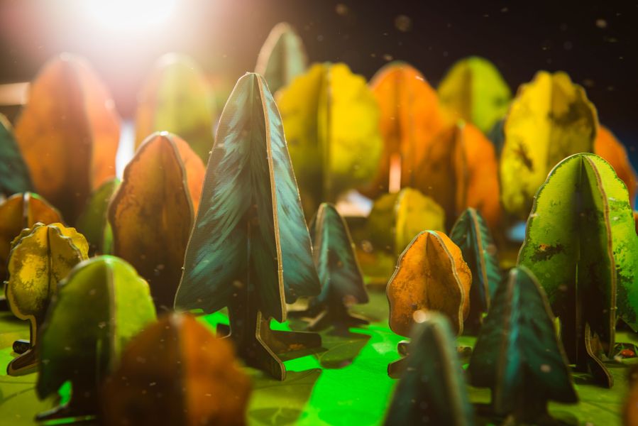Photosynthesis