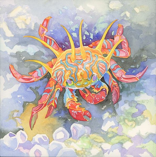 Oceans