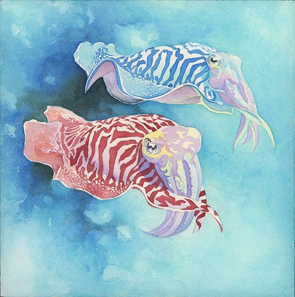Oceans